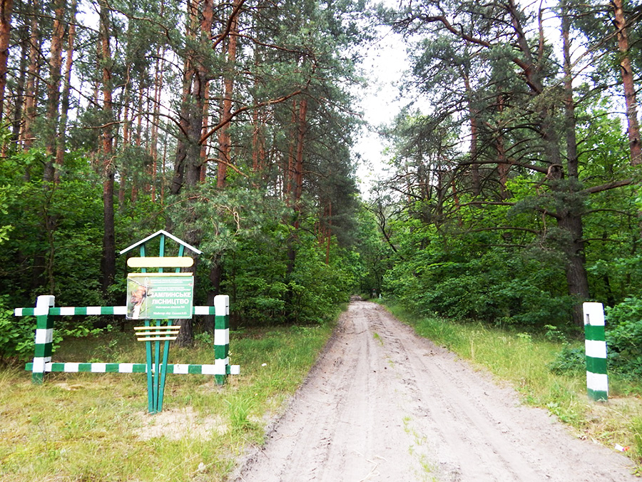 Замлинське лісництво